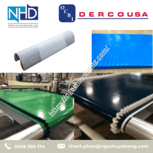 Ngọc Huy Dương Băng tải Derco Mỹ