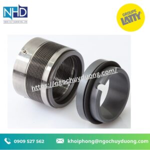 Gioăng cơ khí LATTYseal B 17210 B