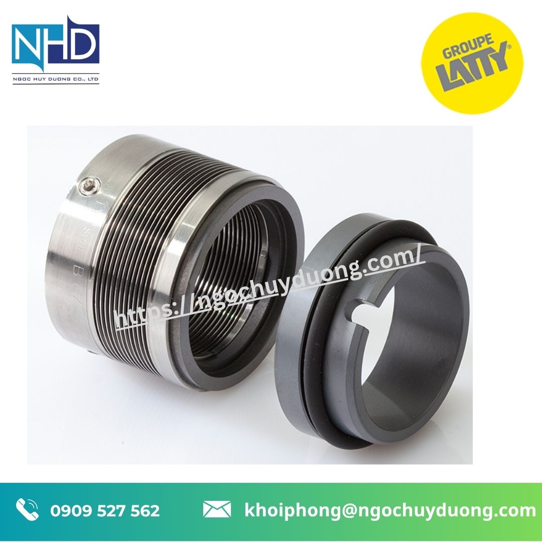 Gioăng cơ khí LATTYseal B 17210 B