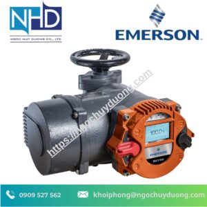 Bộ Truyền Động Điện Emerson Bettis RTS CM