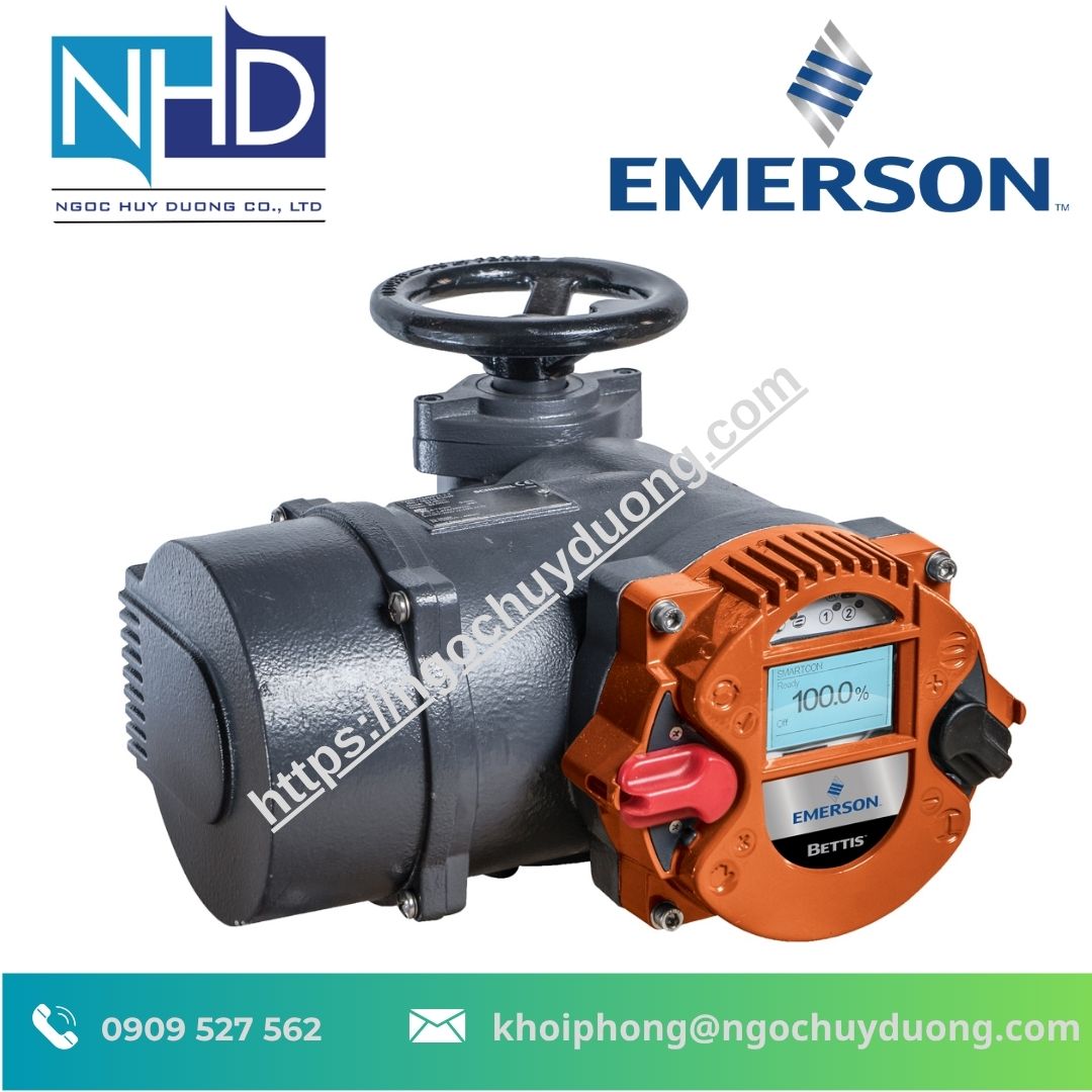 Bộ Truyền Động Điện Emerson Bettis RTS CM
