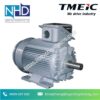 Động Cơ Trung Thế TMEIC 21-FII Series