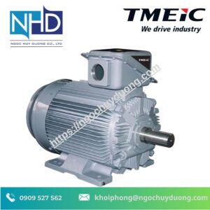 Động Cơ Trung Thế TMEIC 21-FII Series