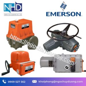 Bộ Truyền Động Điện Emerson Bettis RTS CM