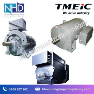 Động Cơ Trung Thế TMEIC 21-FII Series