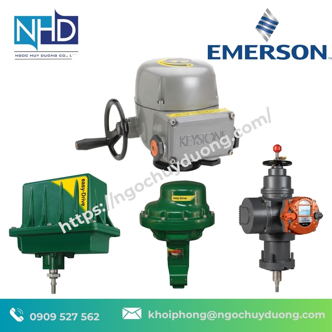 Bộ Truyền Động Điện Emerson Bettis RTS CM