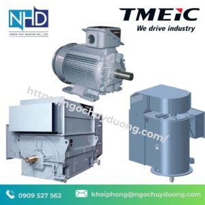 Động Cơ Trung Thế TMEIC 21-FII Series
