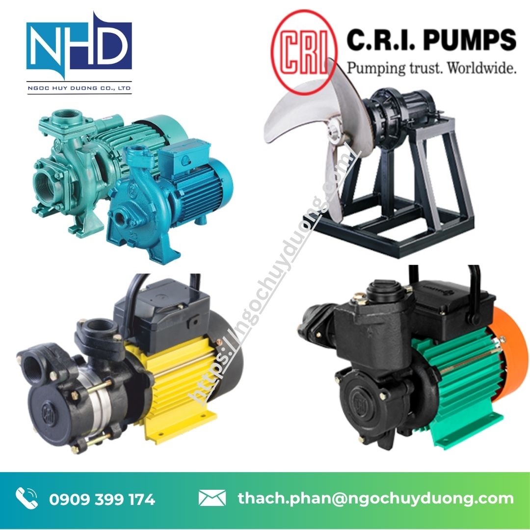 19 Bơm Chìm C.R.I Pump CSM SS304 giá kho