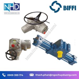 Bộ truyền động điện Biffi ICON3000 Electric Actuator