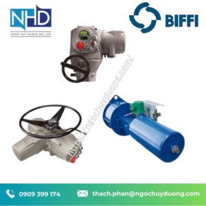 Bộ truyền động khí nén Biffi F01-3000 Scotch Yoke
