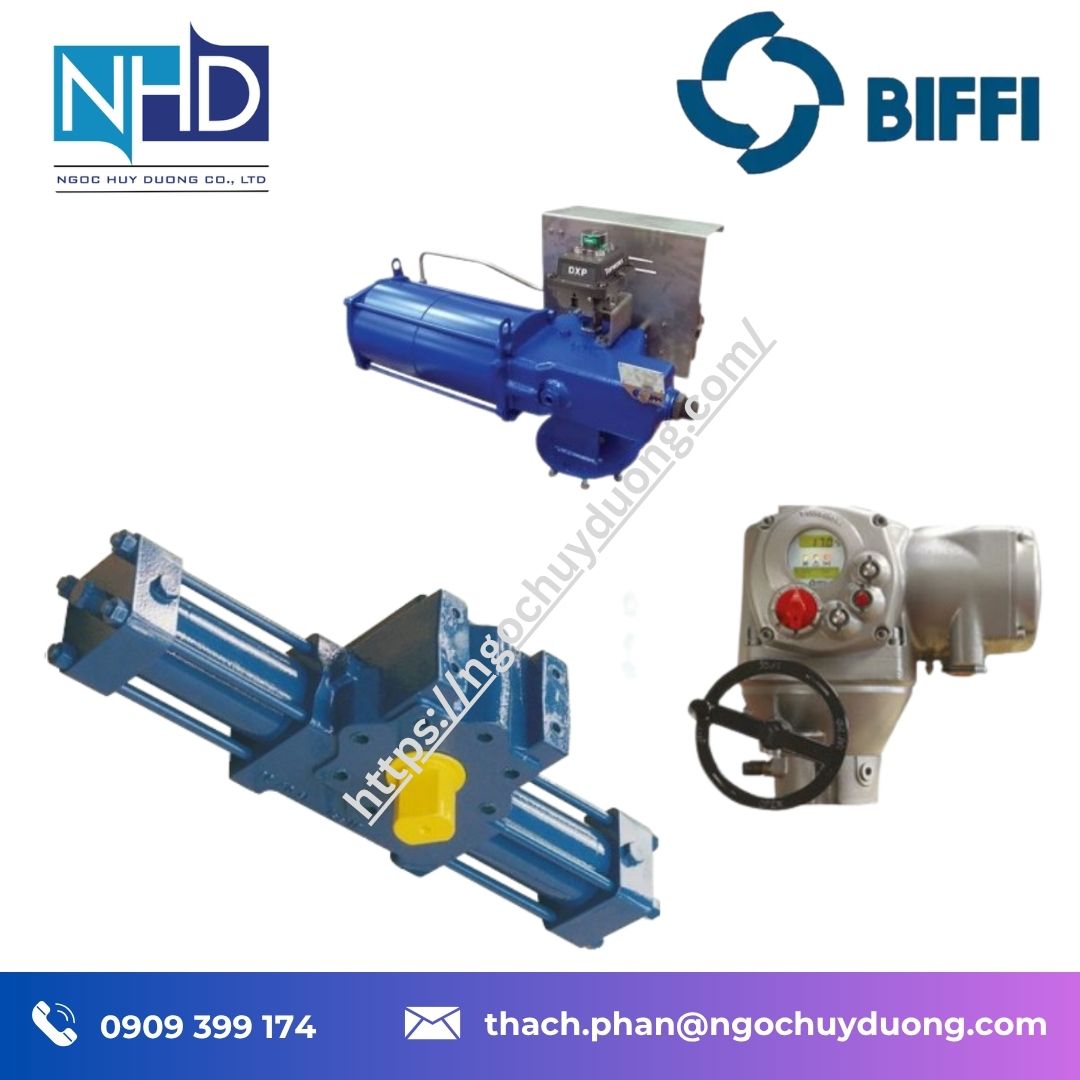 Bộ truyền động khí nén Biffi RPD RPS Rack & Pinion