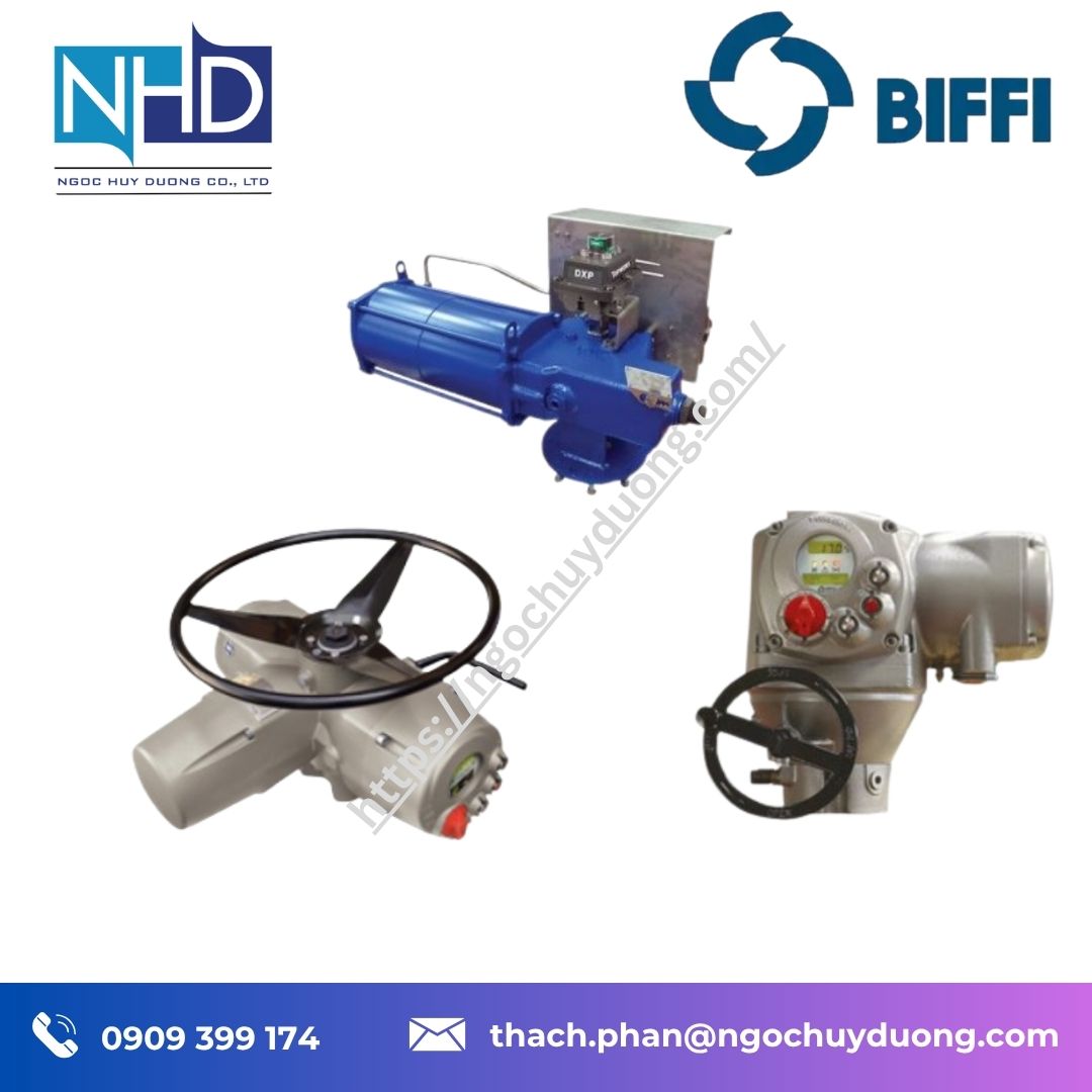 Tổng kho hàng sẵn Bộ truyền động khí nén Biffi RPHD RPHS Rack & Pinion